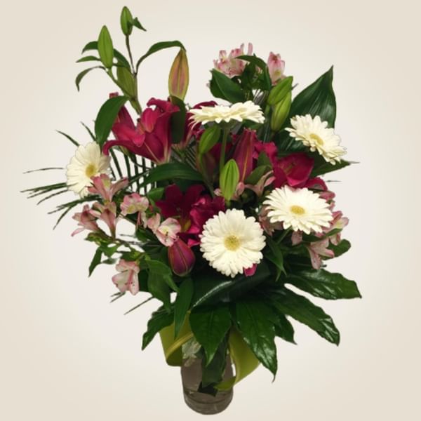 Lilium e Gerbere