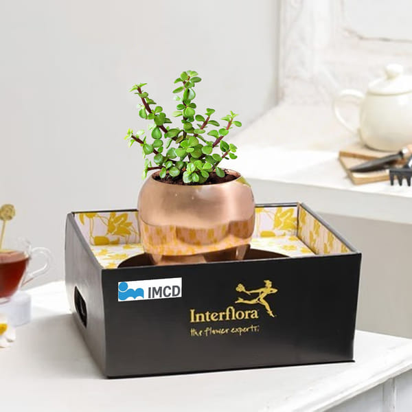 Loving in Jade (IMCD INDIA PRIVATE LIMITED)