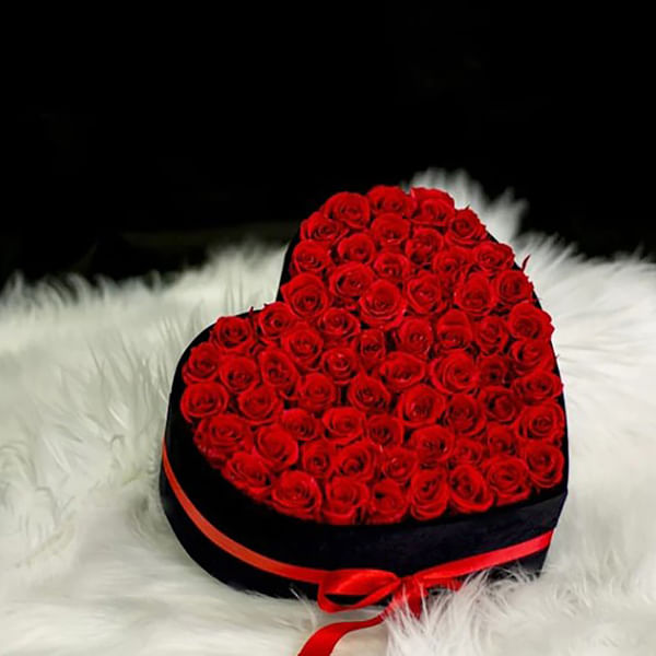 Luxurious Roses
