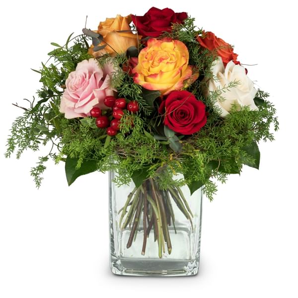 Magic of Roses
