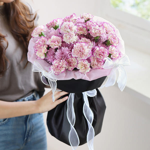 Mauve Carnations Whisper