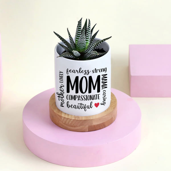 Mother's Day Haworthia Succulent With Ceramic Planter