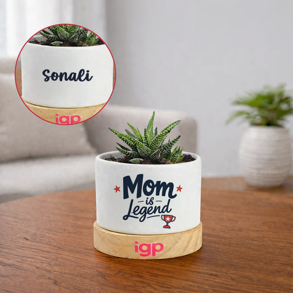 Mother's Day Personalized Haworthia Plant with Pot