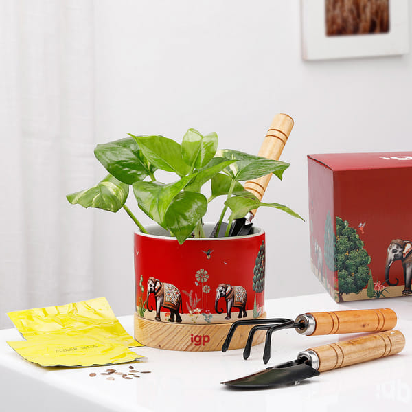 Nature's Haven Gardening Set