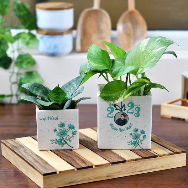 New Year Personalized Planter Pot Set