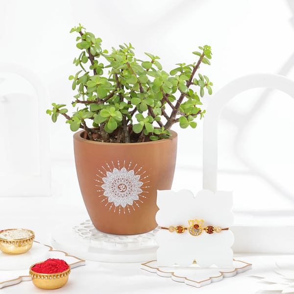 Om And Blessings Rakhi Gift Combo