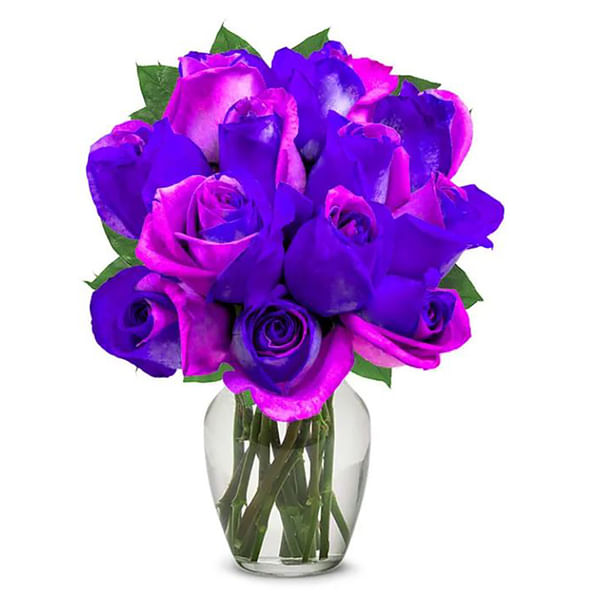One Dozen Cosmic Roses