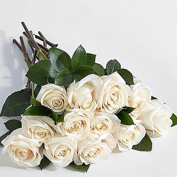 One Dozen Long Stemmed White Roses