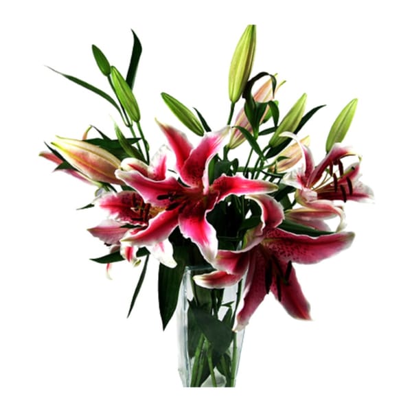 Oriental Pink Lilies Bouquet
