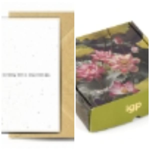 OUTLEAP TECHNOLOGIES - Hamper