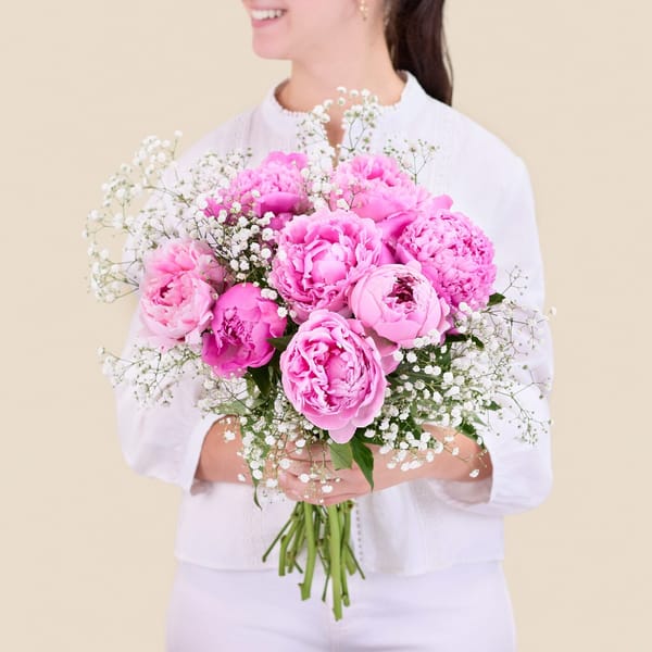 Peony Dream