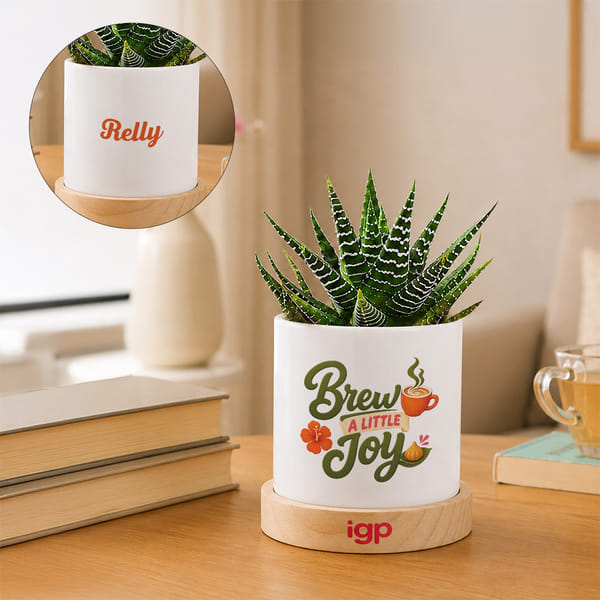 Personalized Brewing Joy Zebra Plant