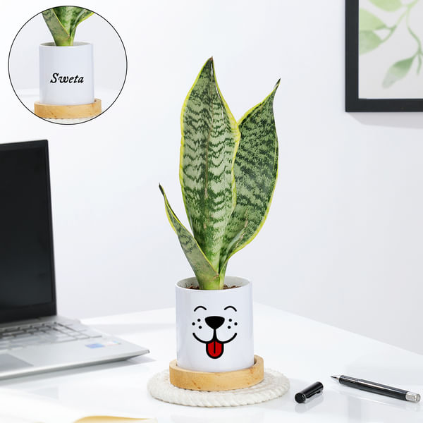 Personalized Ceramic Dog Planter With Snake Plant