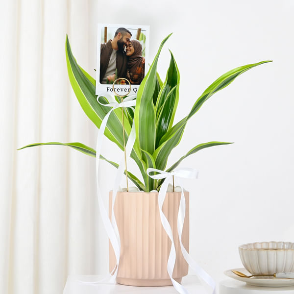 Personalized Dracaena And Fridge Magnet Combo