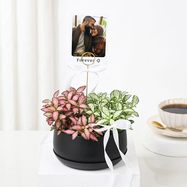 Personalized Fittonia Oasis And Fridge Magnet Combo