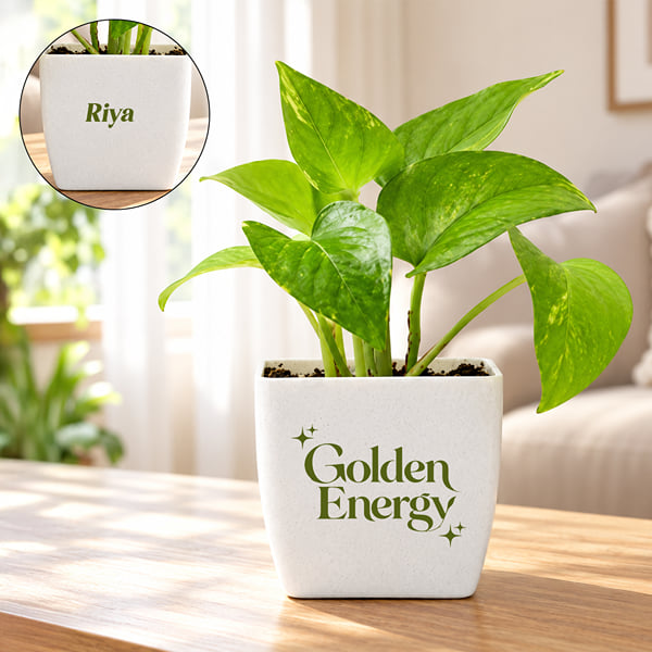 Personalized Goddess Energy Money Plant
