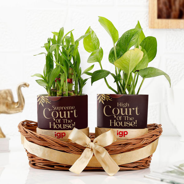 Personalized High Court And Supreme Court Karwa Chauth Planters