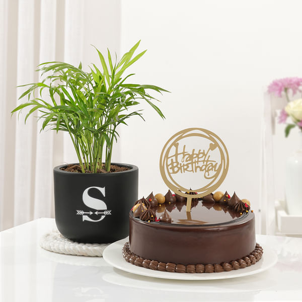 Personalized Lush Plant And Birthday Cake Combo