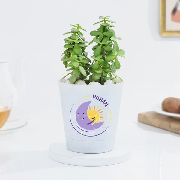 Personalized Self-Watering Planter With Jade Plant