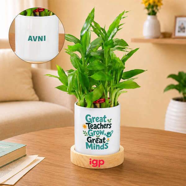 Personalized Teacher Appreciation Bamboo Plant