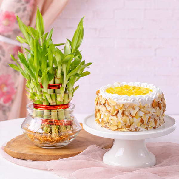 Pineapple Cake and Lucky Bamboo Plant