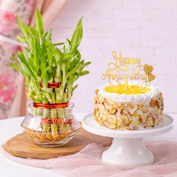 Pineapple Cake and Lucky Bamboo Plant for Anniversary
