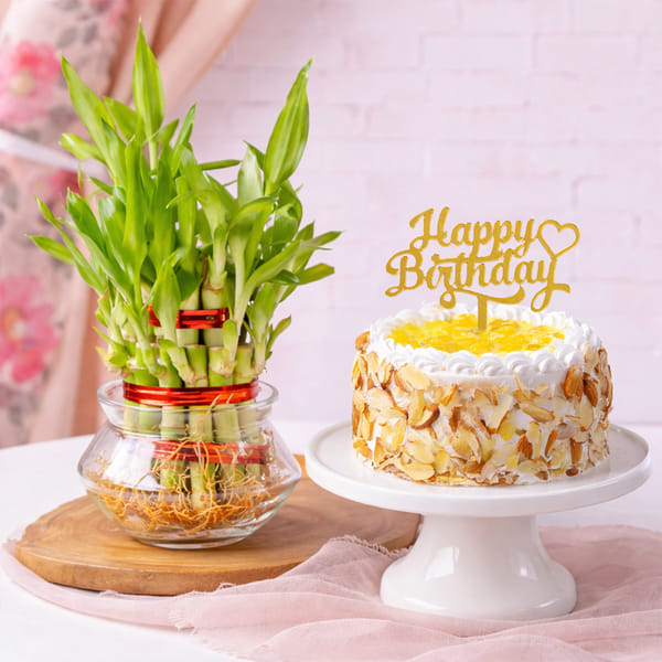Pineapple Cake and Lucky Bamboo Plant for Birthday
