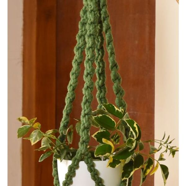 Plant Hanger - Pearl - Single Piece