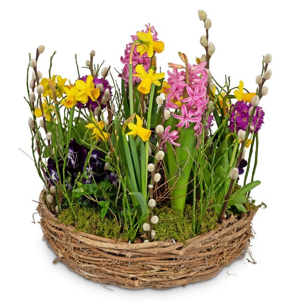 Planted Basket Colorful spring wreath