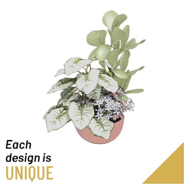 Planted Bowl Arragement