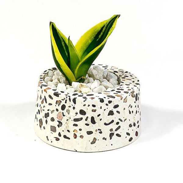 Planter - Concrete Terrazzo -  Cracker Barrel - Cbr