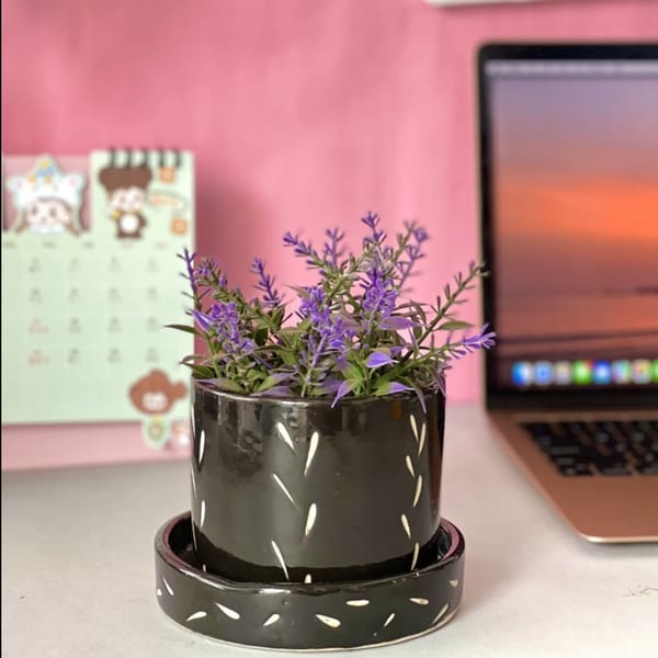 Planter Pot And Plate - Multicolor