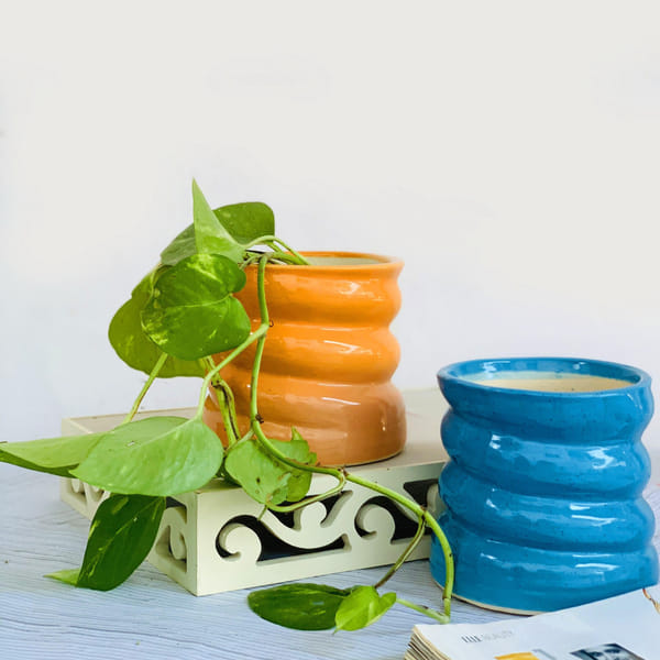 Planter - Swirl - Single Piece