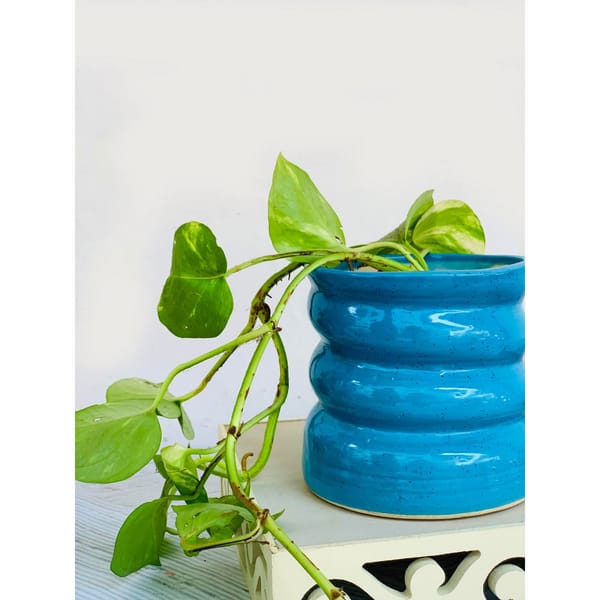 Planter - Swirl - Single Piece