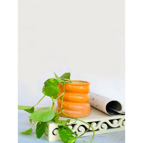 Planter - Swirl - Single Piece