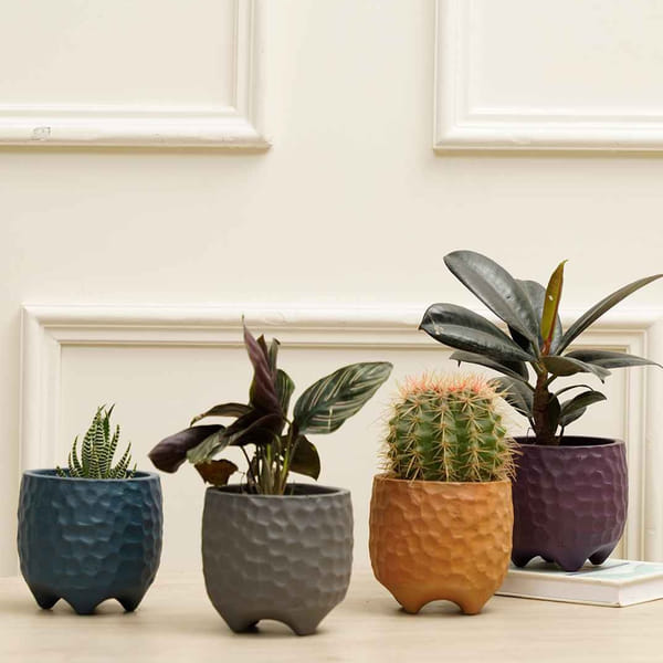 Planters - Pebble - Set Of 4