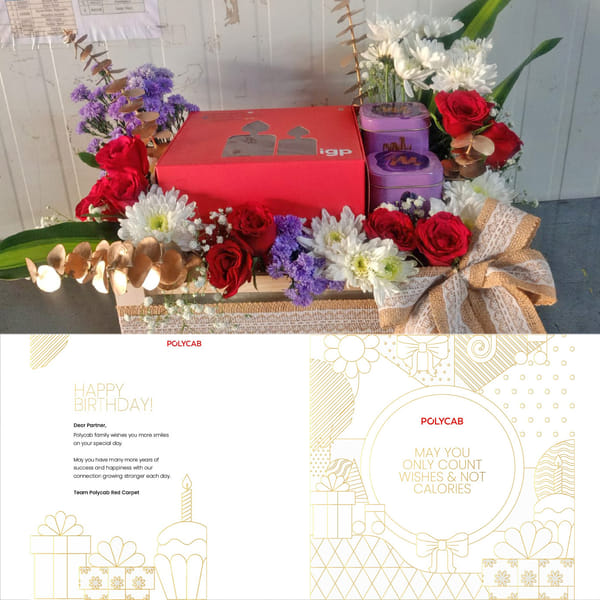 Polycab Distributor Serviceable Hamper