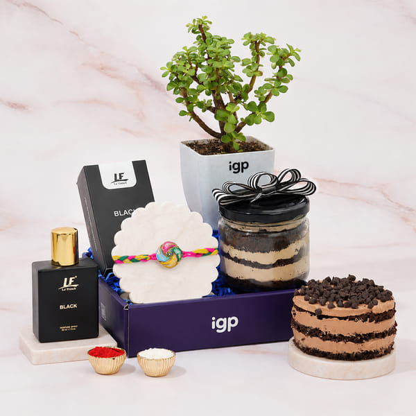 Prosperity Rakhi Hamper With Jade Plant