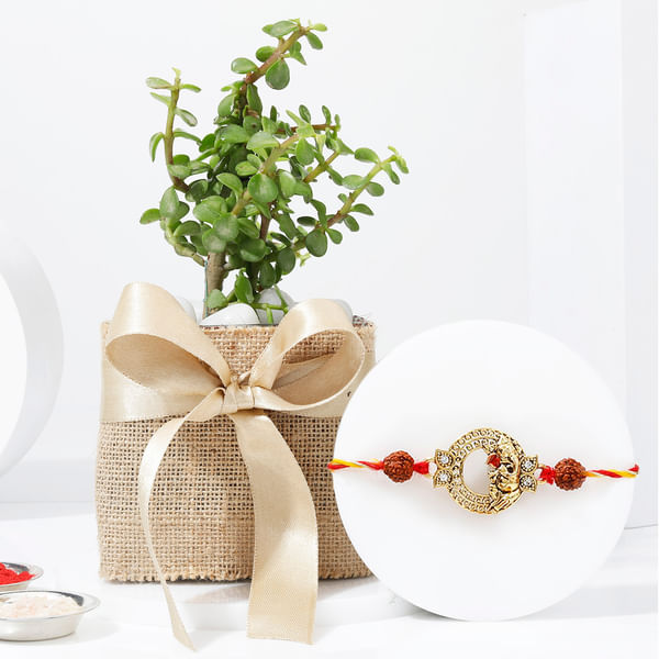 Prosperous Wishes Rakhi Hamper