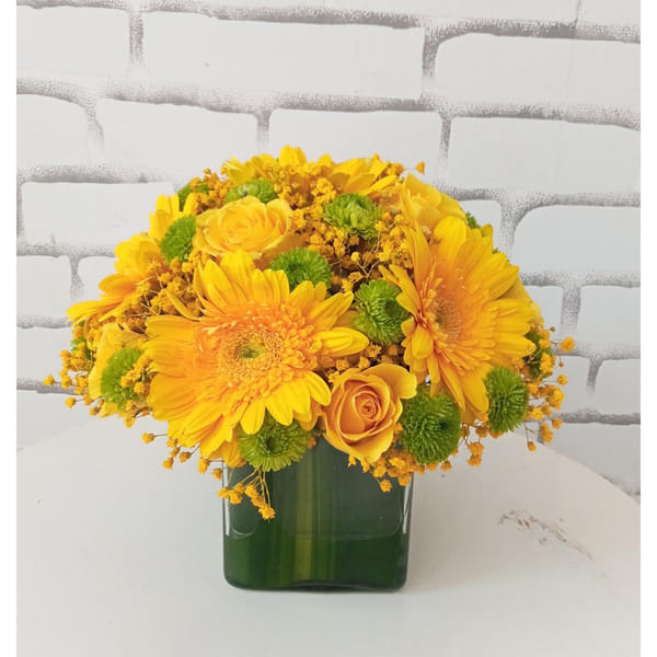 Rolex arrangement catogary D