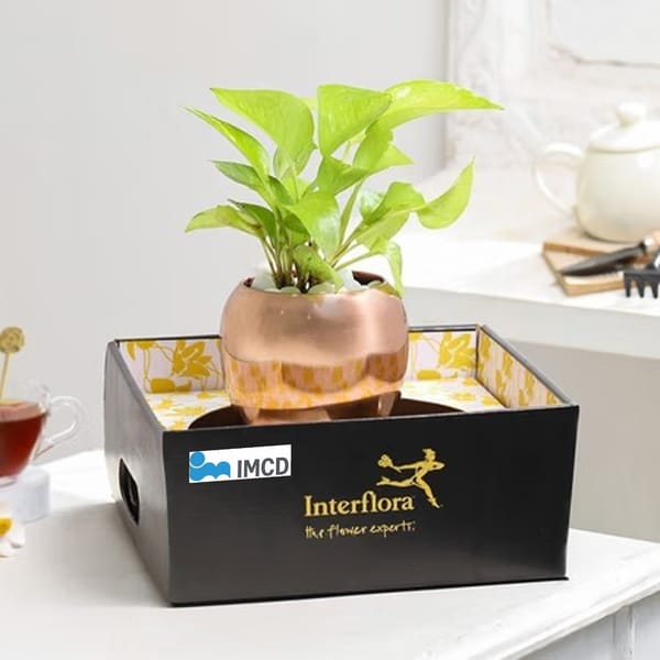 Rose Gold Good Luck Pot (IMCD INDIA PRIVATE LIMITED)