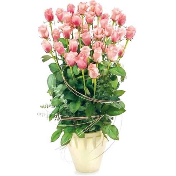 Rosy glow composition