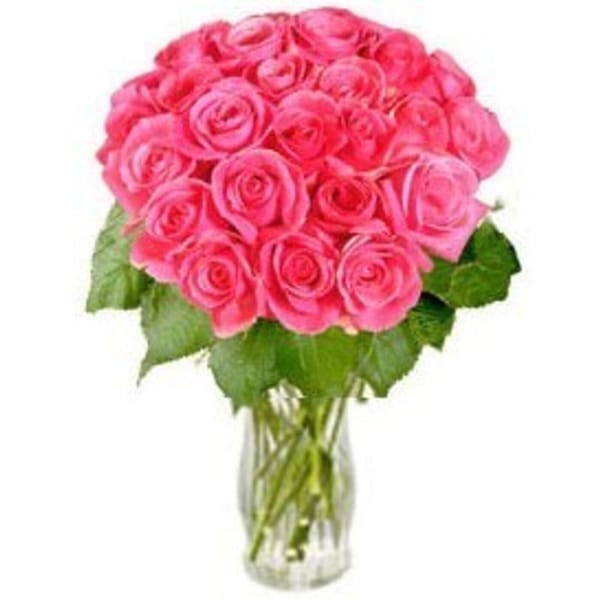 Rosy Reveries