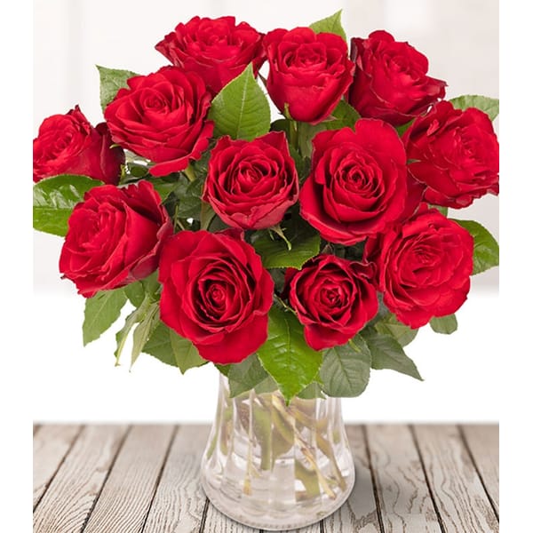 Scarlet Roses For Valentine's Day