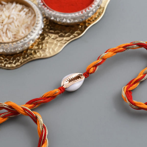 Seashell Zari And Moli Rakhi