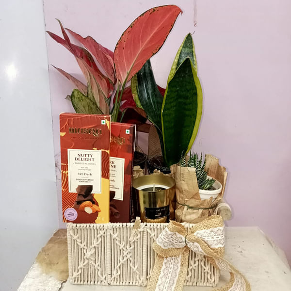 Sekura Energy Hamper