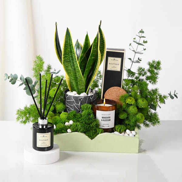 Serene Green Luxe Hamper