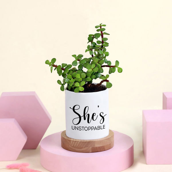 She Is Unstoppable Jade Plant