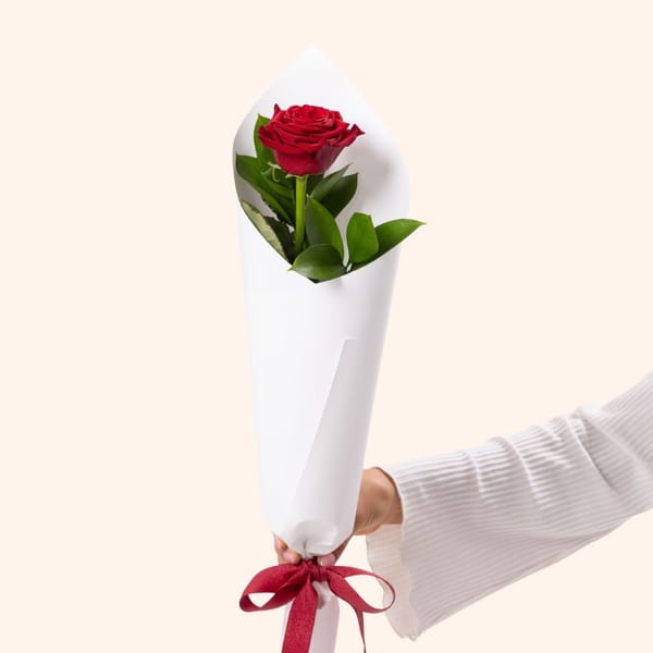 Single Rose