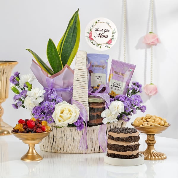 Snake Suberba Plant and Dry Fruits Mother's Day Hamper